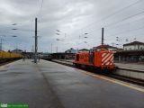 CP1427