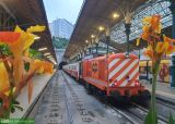 CP1461
