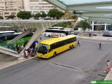 [ALSA Todi Setúbal] #12660