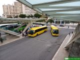 [ALSA Todi Setúbal] #12660