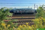 No. 100050 / BR232-003 [ex 242 005, ex 142 005] "MATI"