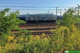 No. 100050 / BR232-003 [ex 242 005, ex 142 005] "MATI"