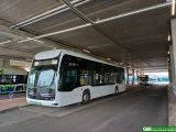 [MPK Kraków / EvoBus Polska Wolica] #PE697
