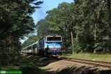 754 015 [ex T478.4015]