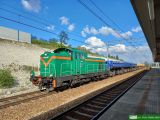 SM42-826