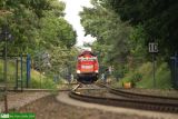 SU42-521 [ex SP42-262]