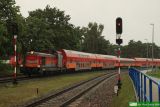 SU42-534 [ex SP42-194]