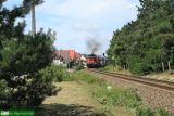 SU42-534 [ex SP42-194]