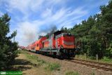 SU42-534 [ex SP42-194]