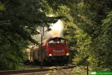 SU42-534 [ex SP42-194]