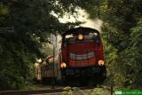 SU42-534 [ex SP42-194]