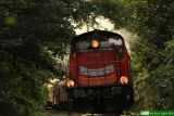 SU42-534 [ex SP42-194]